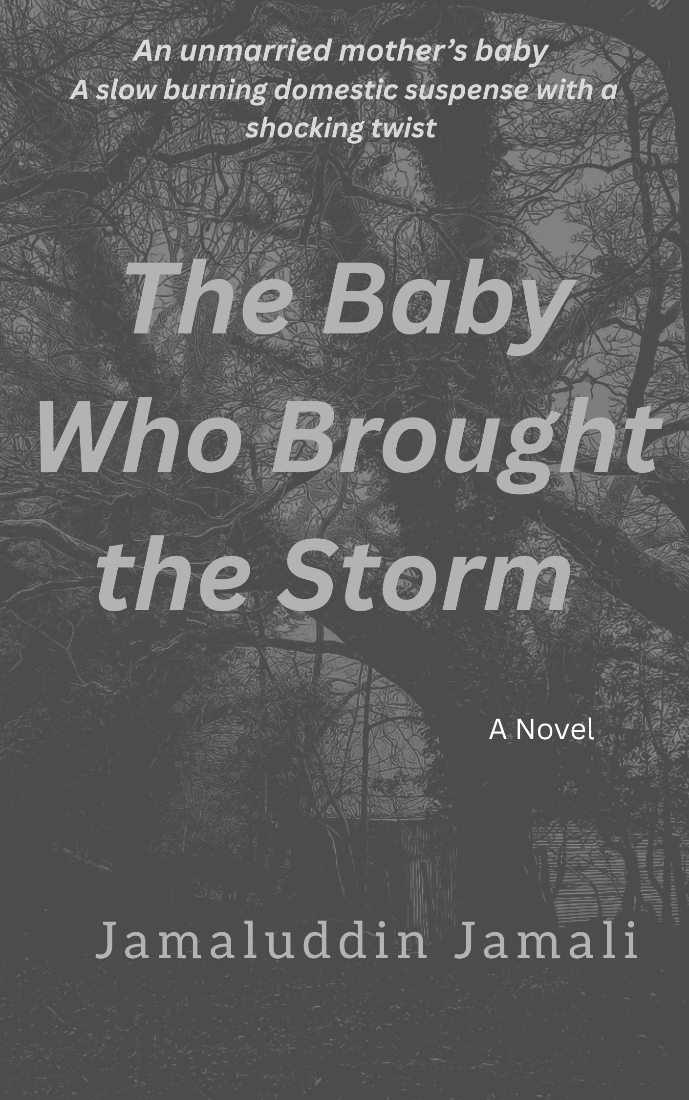The Baby Who Brought the Storm: A Novel